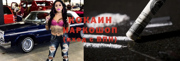 индика Абаза