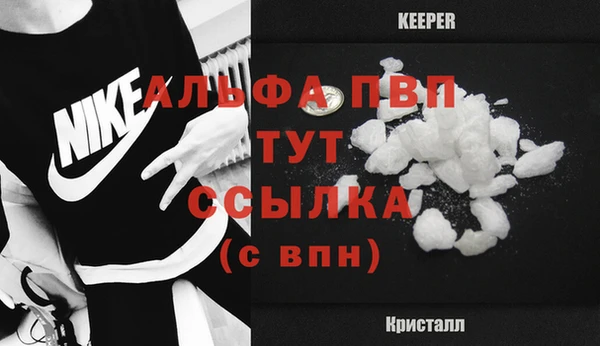 индика Абаза