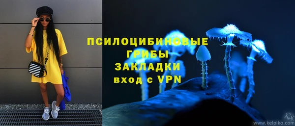 индика Абаза