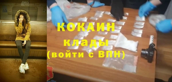 индика Абаза