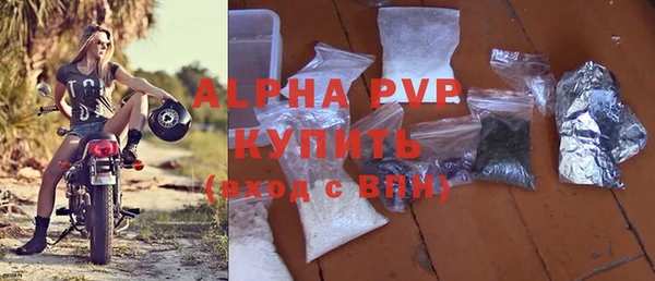 индика Абаза