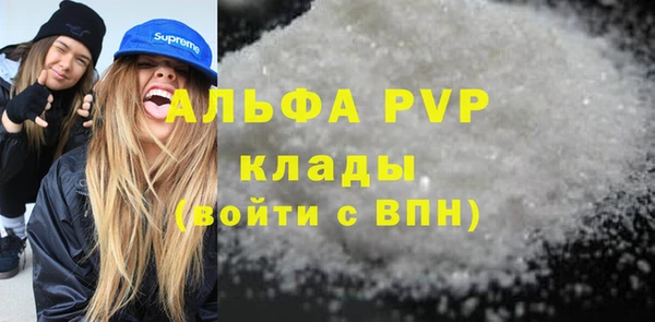 индика Абаза