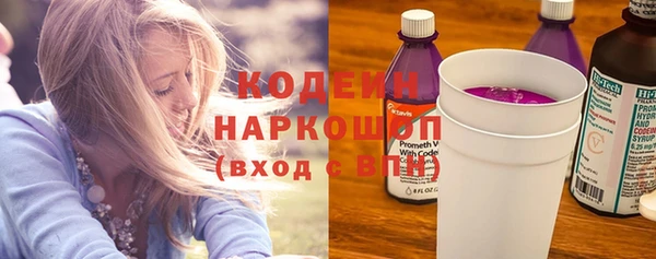 индика Абаза