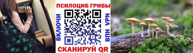 Галлюциногенные грибы GOLDEN TEACHER  купить наркотик  гидра зеркало  Симферополь 