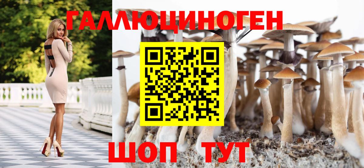 Галлюциногенные грибы Psilocybe Симферополь